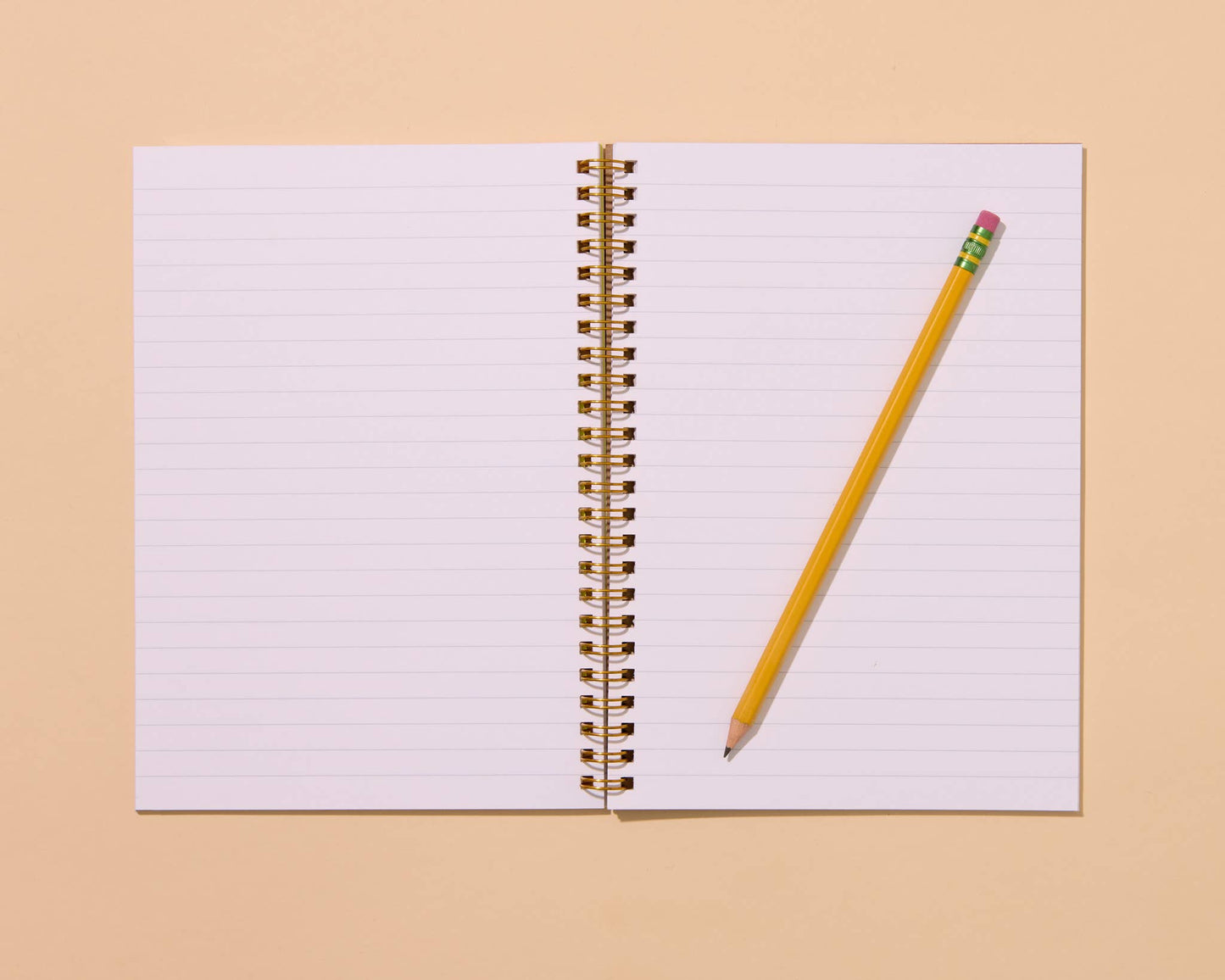 And Here We Are - Letterpress A5 Spiral Notebook—Oyster (Seafood Beach Summer) - PMA Store at the Portland Museum of Art, Maine