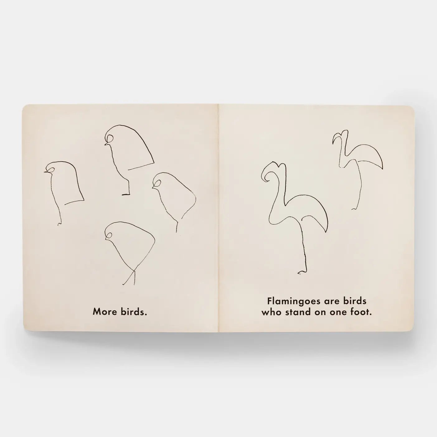Birds & Other Animals - PMA Store at the Portland Museum of Art, Maine