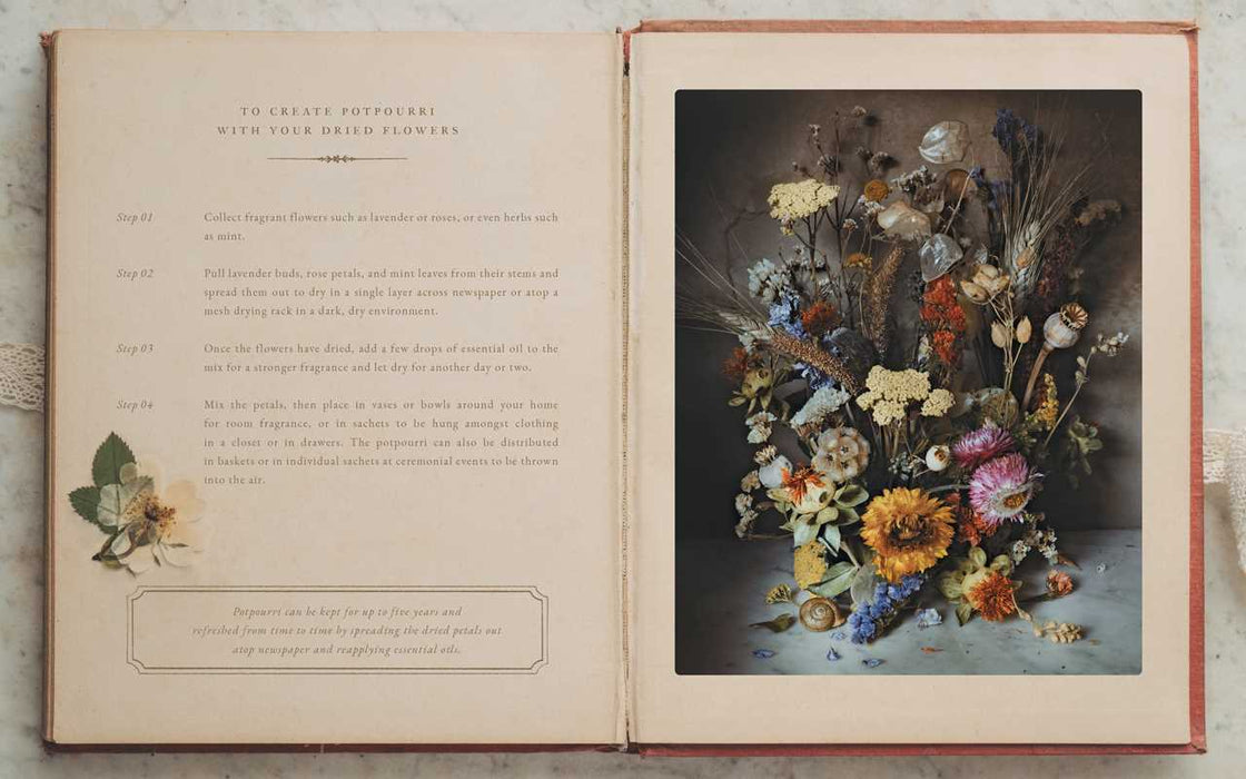 Simon & Schuster - Flowers of Provence by Jamie Beck - PMA Store at the Portland Museum of Art, Maine