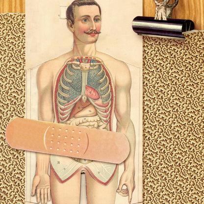 “Post-op” (abdomen/gentleman) get-well card: Recycled white envelopes - PMA Store at the Portland Museum of Art, Maine