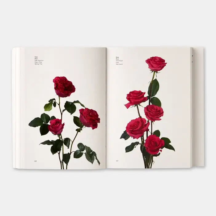 Flower Color Guide - PMA Store at the Portland Museum of Art, Maine