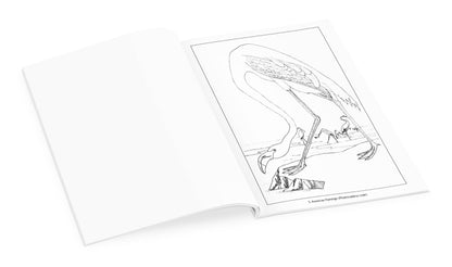 Pomegranate - John James Audubon: Birds Coloring Book - PMA Store at the Portland Museum of Art, Maine