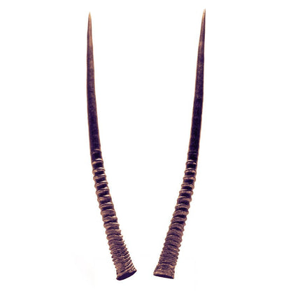 Oropopo - Oryx Horn White Sands Bracelet: Gold - PMA Store at the Portland Museum of Art, Maine