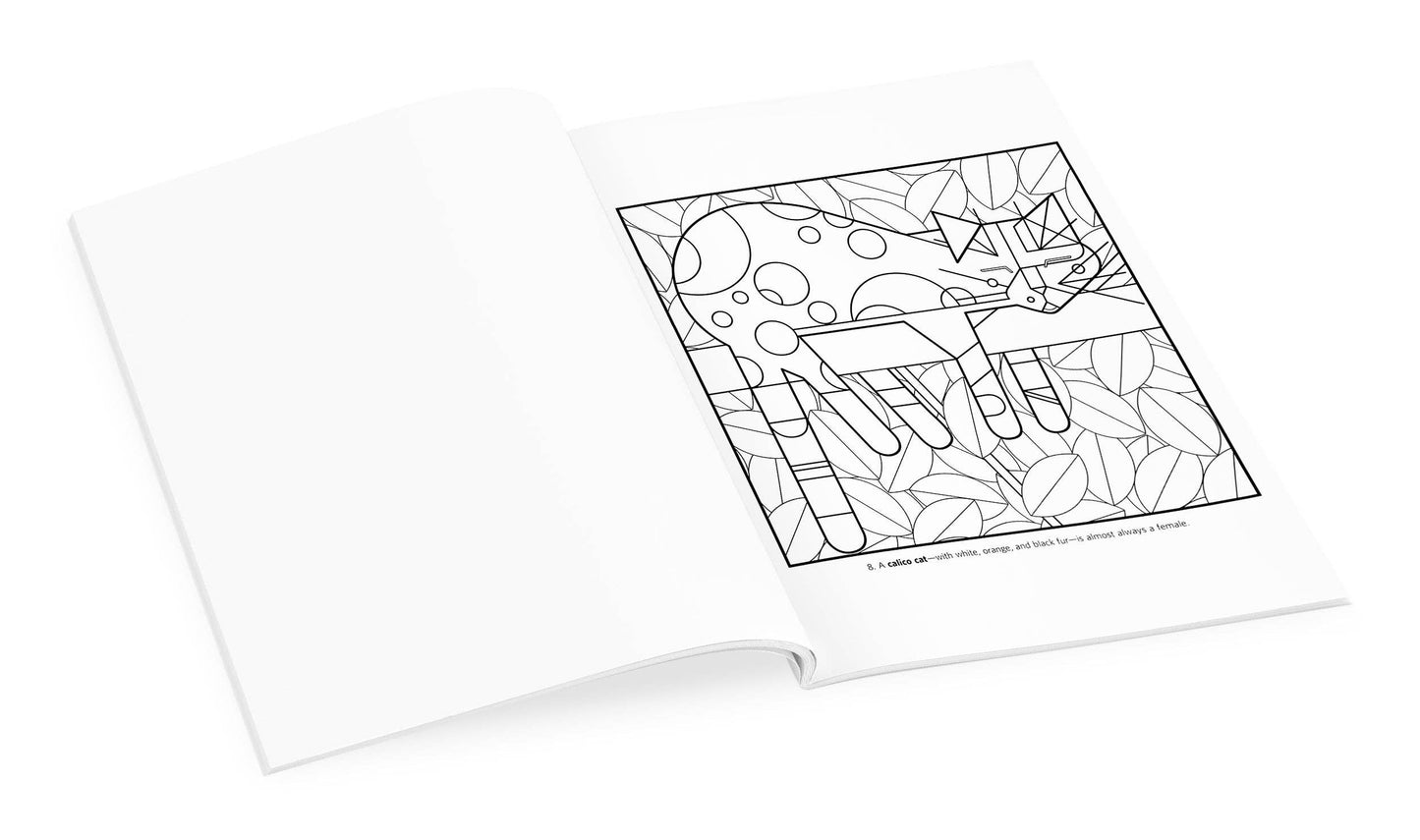 Pomegranate - Charley Harper: Volume 1 Coloring Book - PMA Store at the Portland Museum of Art, Maine