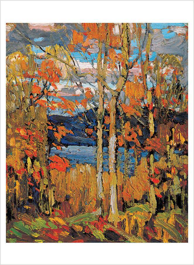 Pomegranate - Tom Thomson Book of Postcards - PMA Store at the Portland Museum of Art, Maine