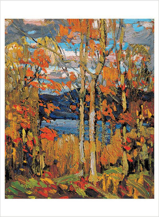 Pomegranate - Tom Thomson Book of Postcards - PMA Store at the Portland Museum of Art, Maine