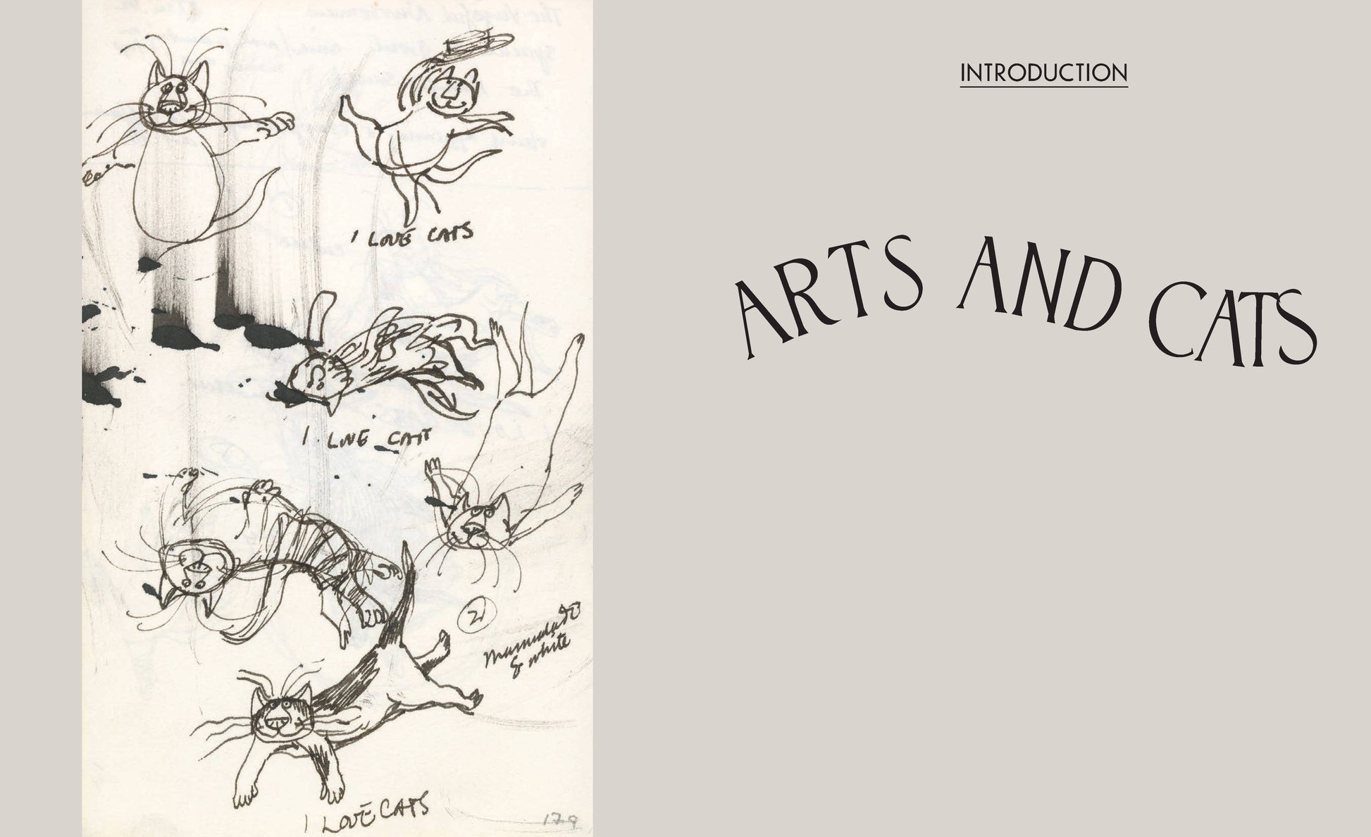Chronicle Books - Theatrical Adventures of Edward Gorey - PMA Store at the Portland Museum of Art, Maine