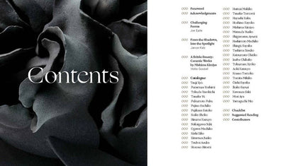 W. W. Norton - Radical Clay: Contemporary Women Artists from Japan: Hardcover - PMA Store at the Portland Museum of Art, Maine