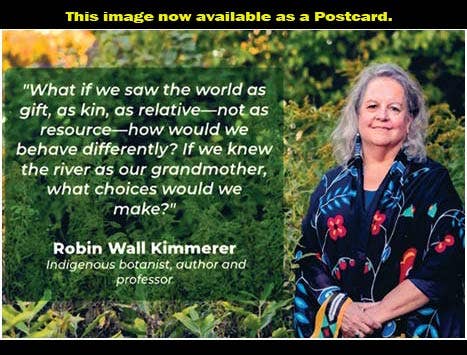 VisionWorks LLC - Braiding Sweetgrass, by Robin Wall Kimmerer. Hardcover - PMA Store at the Portland Museum of Art, Maine