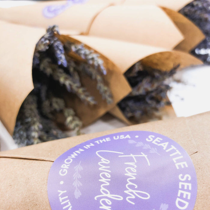 Seattle Seed Co. - Fragrant Dried Grosso French Lavender Flowers Home Decor: Long Stems - PMA Store at the Portland Museum of Art, Maine