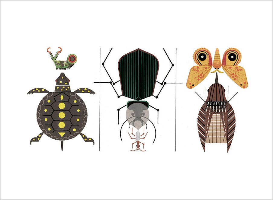Pomegranate - Charley Harper: The Animal Kingdom Book of Postcards - PMA Store at the Portland Museum of Art, Maine