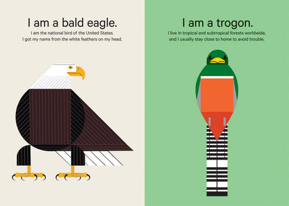 Pomegranate - Charley Harper’s Sticky Birds: An Animal Sticker Kit - PMA Store at the Portland Museum of Art, Maine