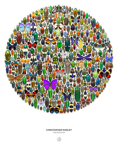 Pomegranate - Christopher Marley: Macrocosm 500-Piece Circular Jigsaw Puzzle - PMA Store at the Portland Museum of Art, Maine