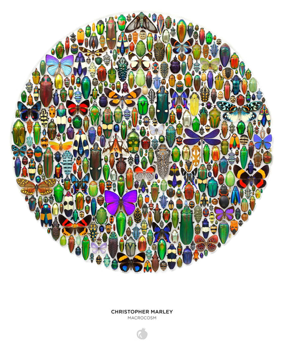 Pomegranate - Christopher Marley: Macrocosm 500-Piece Circular Jigsaw Puzzle - PMA Store at the Portland Museum of Art, Maine