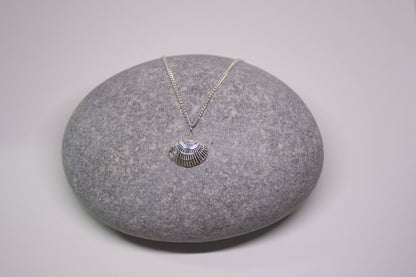 Sea Salt & Silver - Radial Clam Shell Necklace - PMA Store at the Portland Museum of Art, Maine