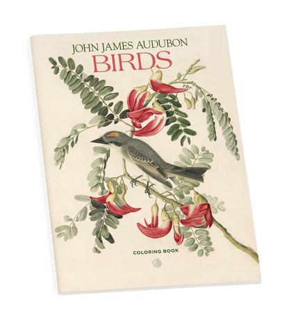 Pomegranate - John James Audubon: Birds Coloring Book - PMA Store at the Portland Museum of Art, Maine