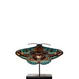 Donuca Moth Object Art