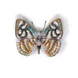 Racidula Sailor Butterfly Brooch Pin