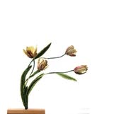 Rembrandt Tulips Object Art