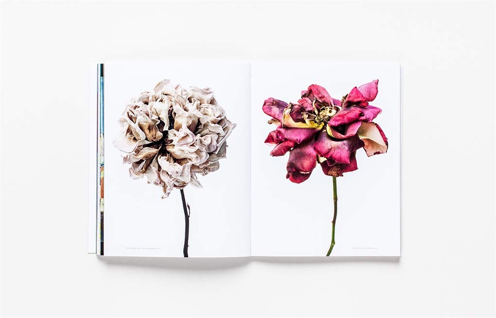 The Book of the Flower: Flowers in Art