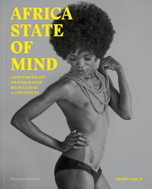 Africa State of Mind: Contemporary ... - PMA Store at the Portland Museum of Art, Maine