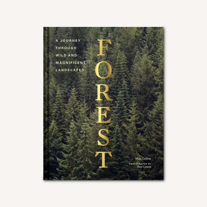 Forest: Journey through Wild and Magnificent Landscapes