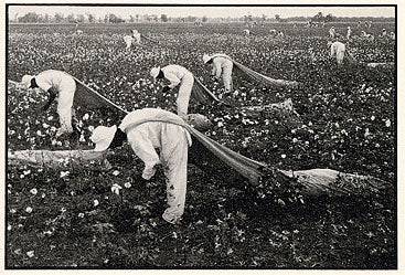 Cotton Pickers, Ferguson Unit, Texas Department of Corrections...,1968 Danny Lyon  (Presence 2022) - PMA Store at the Portland Museum of Art, Maine