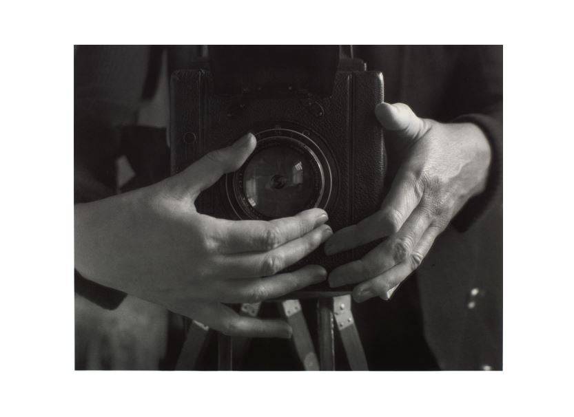 Self Portrait, 1932, Alma Lavenson (United States, 1897–1989) - PMA Store at the Portland Museum of Art, Maine