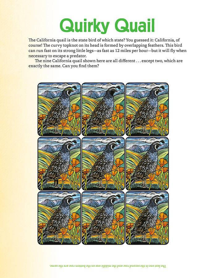 Molly Hashimoto’s Art & Nature Activity Book - PMA Store at the Portland Museum of Art, Maine
