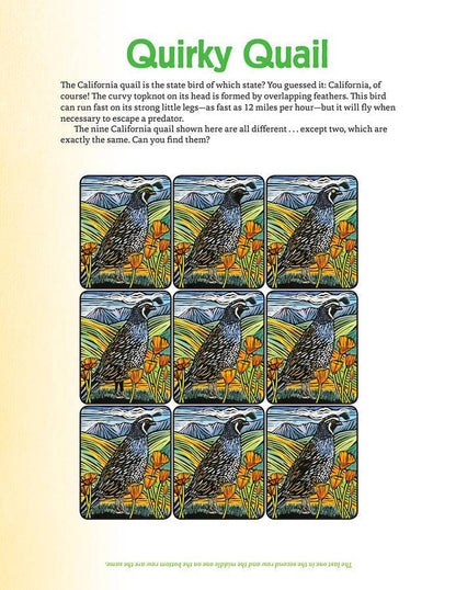 Molly Hashimoto’s Art & Nature Activity Book - PMA Store at the Portland Museum of Art, Maine