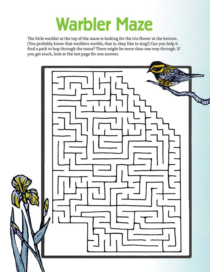 Molly Hashimoto’s Art & Nature Activity Book - PMA Store at the Portland Museum of Art, Maine