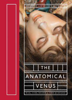 The Anatomical Venus - PMA Store at the Portland Museum of Art, Maine